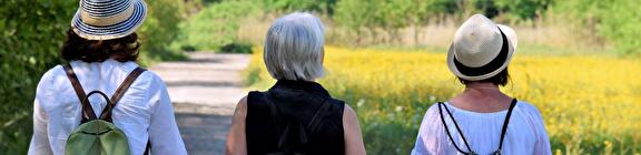 Wandelen in Veendam